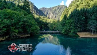 多彩贵州网 美到窒息 记者实地探访震后两年的九寨沟,诺日朗瀑布更加壮观