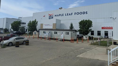 加拿大著名肉类加工厂爆发55例新冠,暂停向中国出口猪肉