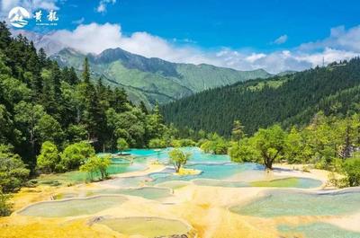 静下来·慢时光|恰似这片独特的风景