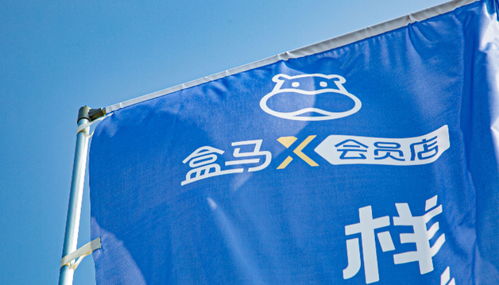 盒马困于商品力